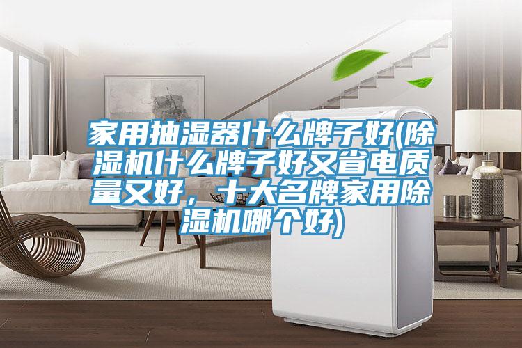 家用抽濕器什么牌子好(除濕機什么牌子好又省電質(zhì)量又好，十大名牌家用除濕機哪個好)