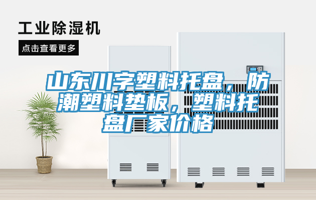 山東川字塑料托盤，防潮塑料墊板，塑料托盤廠家價(jià)格