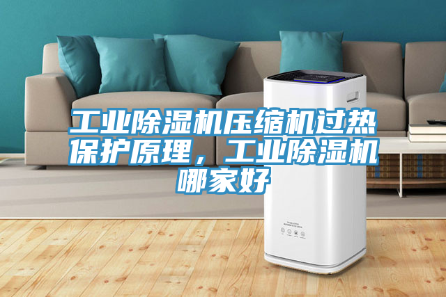 工業(yè)除濕機壓縮機過熱保護原理，工業(yè)除濕機哪家好