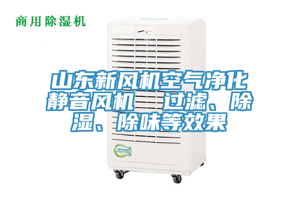 山東新風(fēng)機(jī)空氣凈化靜音風(fēng)機(jī)  過濾、除濕、除味等效果