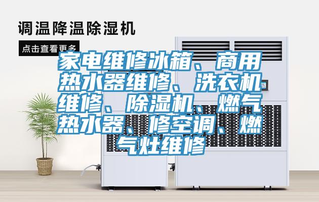 家電維修冰箱、商用熱水器維修、洗衣機(jī)維修、除濕機(jī)、燃?xì)鉄崴?、修空調(diào)、燃?xì)庠罹S修