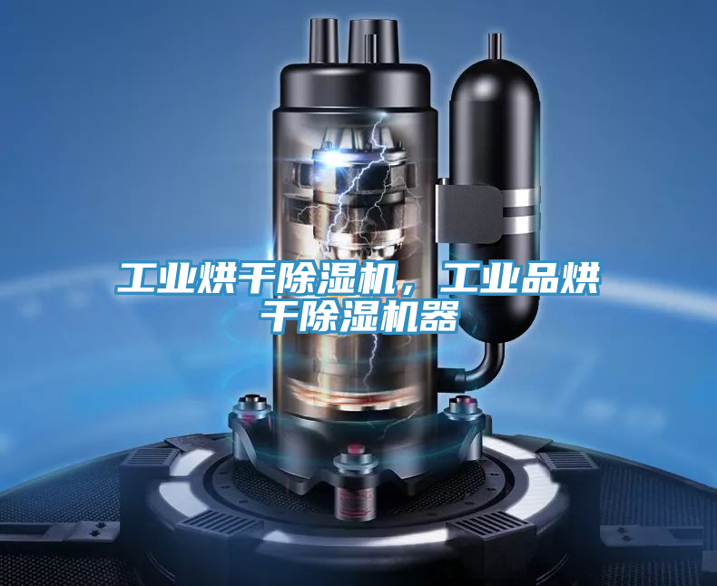 工業(yè)烘干除濕機(jī)，工業(yè)品烘干除濕機(jī)器