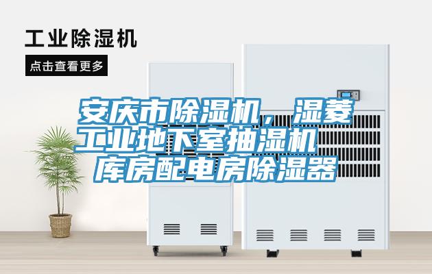 安慶市除濕機(jī)，濕菱工業(yè)地下室抽濕機(jī)  庫房配電房除濕器