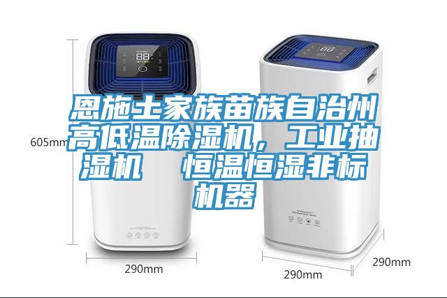 恩施土家族苗族自治州高低溫除濕機(jī)，工業(yè)抽濕機(jī)  恒溫恒濕非標(biāo)機(jī)器