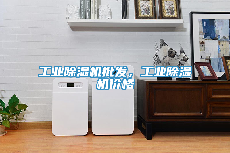 工業(yè)除濕機批發(fā)，工業(yè)除濕機價格