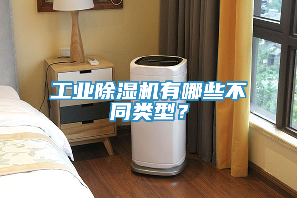 工業(yè)除濕機(jī)有哪些不同類型？