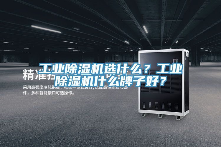 工業(yè)除濕機(jī)選什么？工業(yè)除濕機(jī)什么牌子好？
