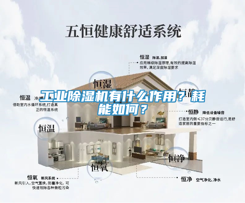 工業(yè)除濕機(jī)有什么作用？耗能如何？