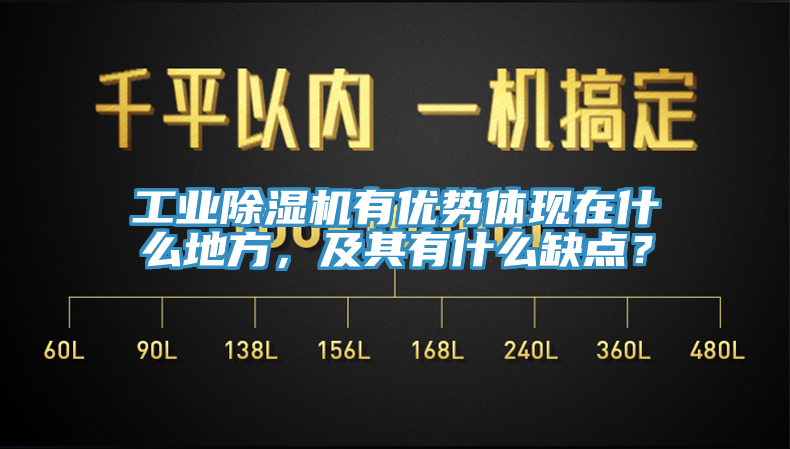 工業(yè)除濕機(jī)有優(yōu)勢體現(xiàn)在什么地方，及其有什么缺點(diǎn)？