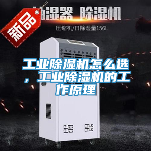 工業(yè)除濕機(jī)怎么選，工業(yè)除濕機(jī)的工作原理