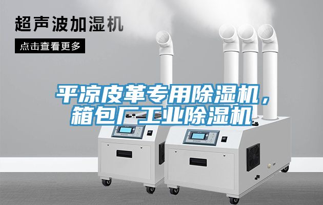 平?jīng)銎じ飳Ｓ贸凉駲C(jī)，箱包廠工業(yè)除濕機(jī)