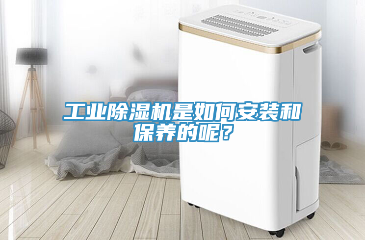 工業(yè)除濕機(jī)是如何安裝和保養(yǎng)的呢？