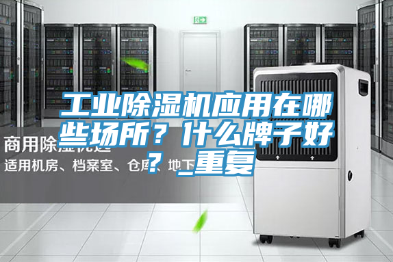 工業(yè)除濕機(jī)應(yīng)用在哪些場(chǎng)所？什么牌子好？_重復(fù)