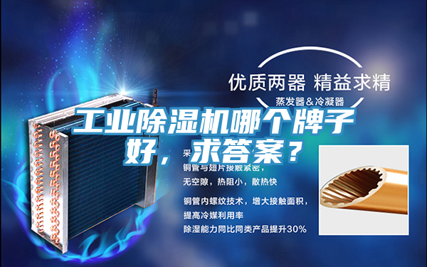 工業(yè)除濕機(jī)哪個(gè)牌子好，求答案？