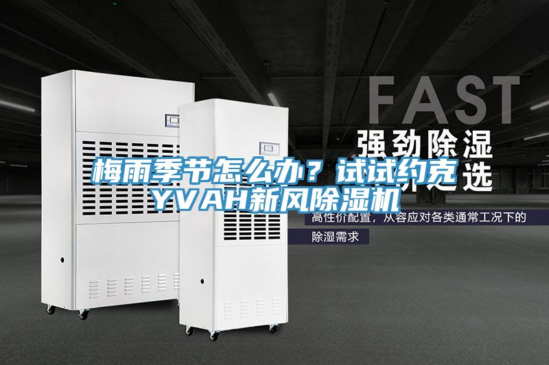 梅雨季節(jié)怎么辦？試試約克YVAH新風除濕機
