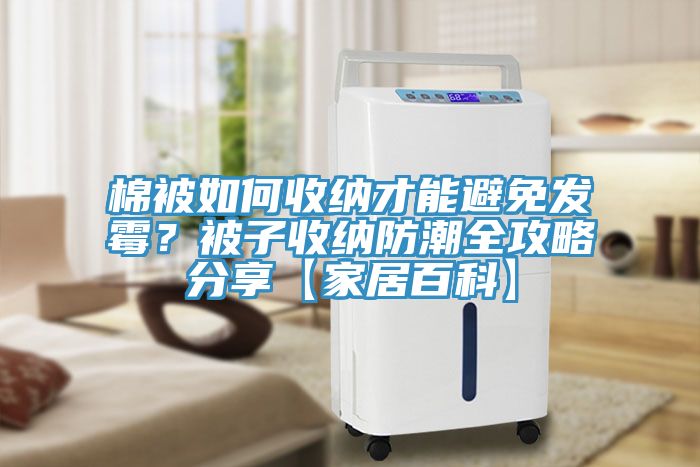 棉被如何收納才能避免發(fā)霉？被子收納防潮全攻略分享【家居百科】