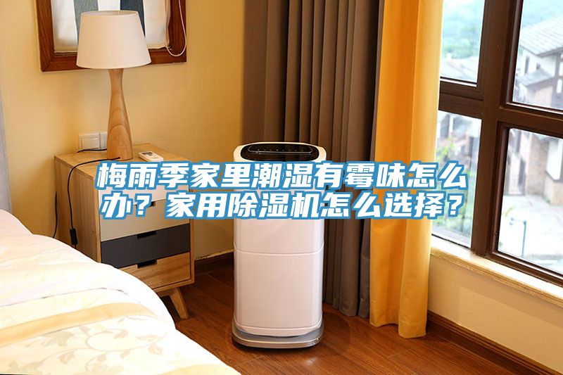 梅雨季家里潮濕有霉味怎么辦？家用除濕機(jī)怎么選擇？