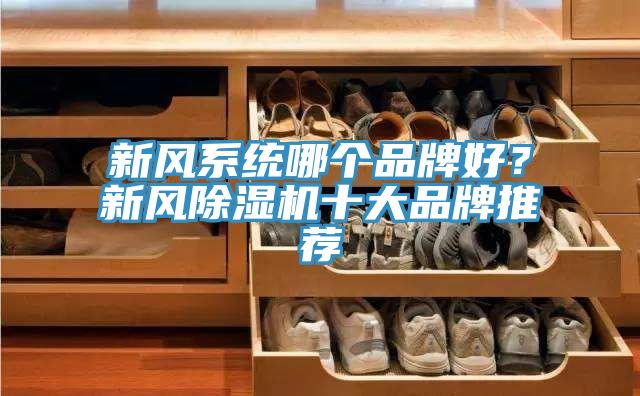 新風(fēng)系統(tǒng)哪個(gè)品牌好？新風(fēng)除濕機(jī)十大品牌推薦