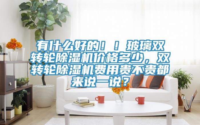 有什么好的??！玻璃雙轉(zhuǎn)輪除濕機價格多少，雙轉(zhuǎn)輪除濕機費用貴不貴都來說一說？