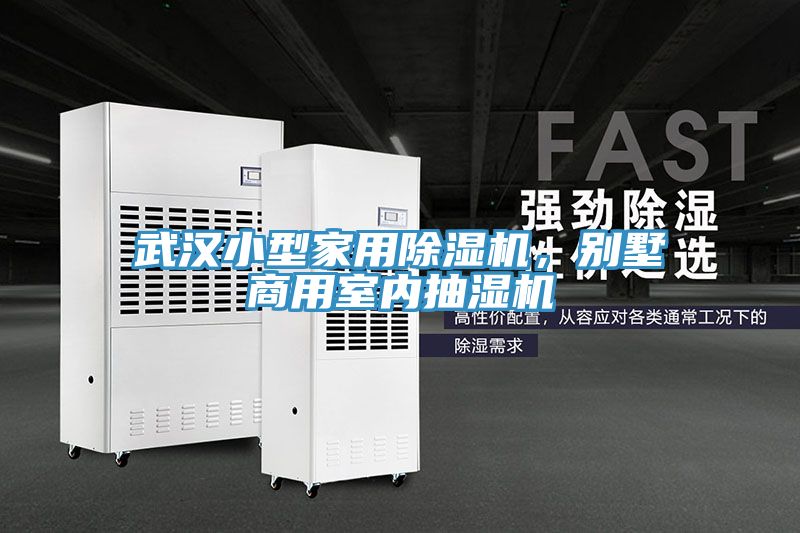 武漢小型家用除濕機，別墅商用室內(nèi)抽濕機