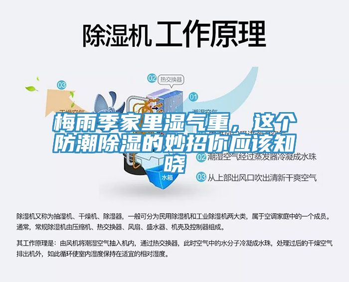 梅雨季家里濕氣重，這個(gè)防潮除濕的妙招你應(yīng)該知曉