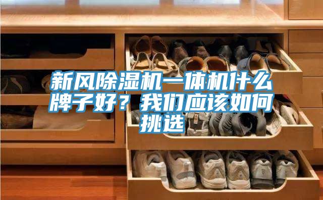 新風(fēng)除濕機(jī)一體機(jī)什么牌子好？我們應(yīng)該如何挑選