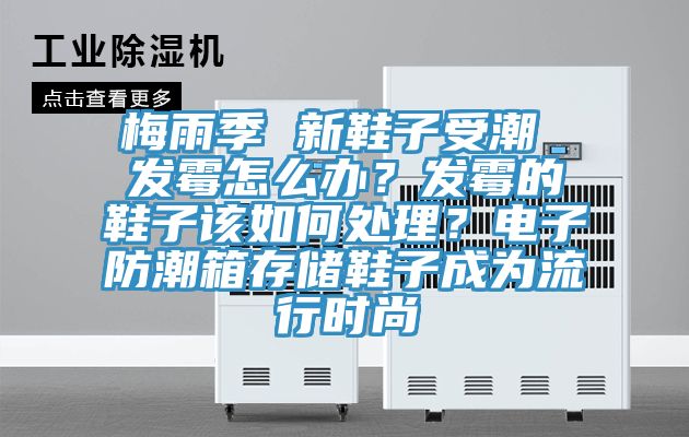 梅雨季 新鞋子受潮 發(fā)霉怎么辦？發(fā)霉的鞋子該如何處理？電子防潮箱存儲(chǔ)鞋子成為流行時(shí)尚