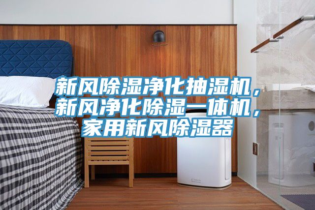 新風(fēng)除濕凈化抽濕機，新風(fēng)凈化除濕一體機，家用新風(fēng)除濕器