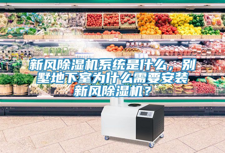 新風(fēng)除濕機(jī)系統(tǒng)是什么，別墅地下室為什么需要安裝新風(fēng)除濕機(jī)？