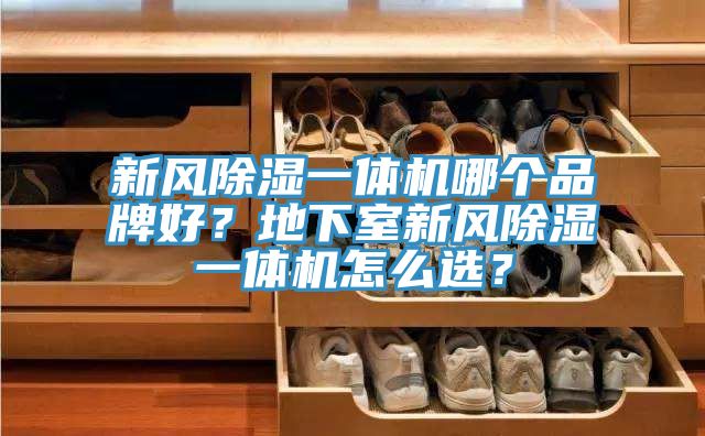 新風(fēng)除濕一體機哪個品牌好？地下室新風(fēng)除濕一體機怎么選？