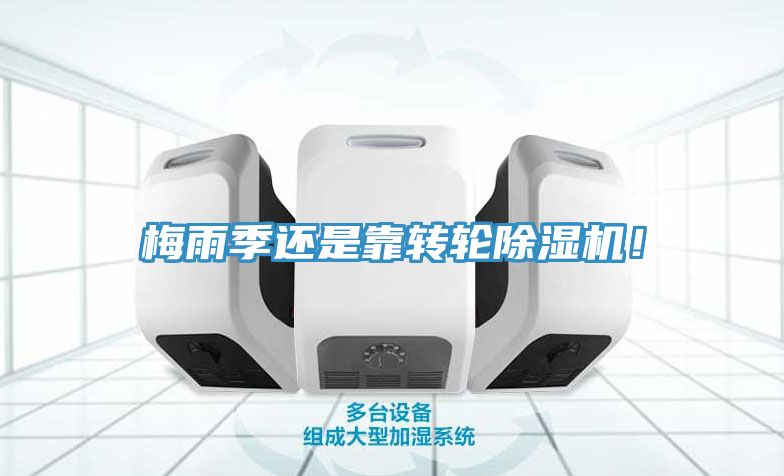 梅雨季還是靠轉(zhuǎn)輪除濕機！
