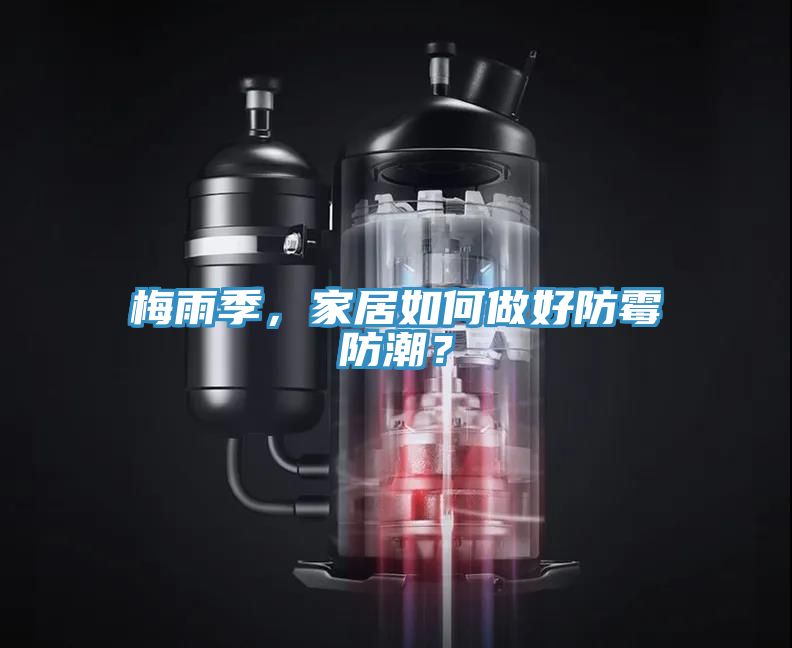 梅雨季，家居如何做好防霉防潮？