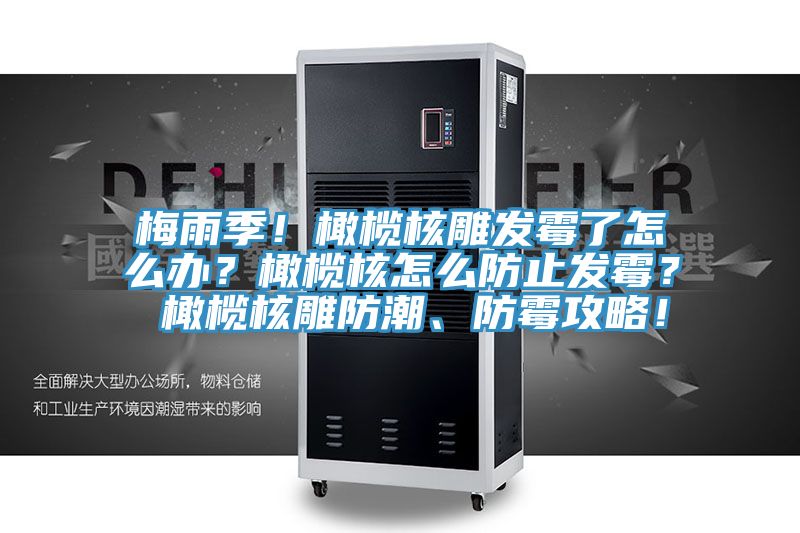 梅雨季！橄欖核雕發(fā)霉了怎么辦？橄欖核怎么防止發(fā)霉？ 橄欖核雕防潮、防霉攻略！
