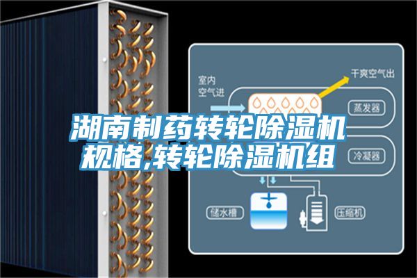 湖南制藥轉輪除濕機規(guī)格,轉輪除濕機組