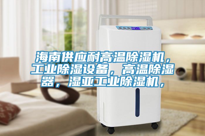 海南供應(yīng)耐高溫除濕機，工業(yè)除濕設(shè)備，高溫除濕器，濕亞工業(yè)除濕機，