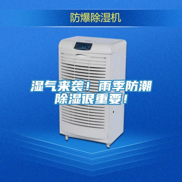 濕氣來(lái)襲！雨季防潮除濕很重要！