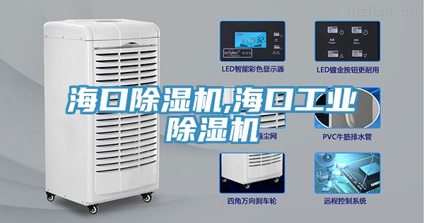 ?？诔凉駲C(jī),海口工業(yè)除濕機(jī)