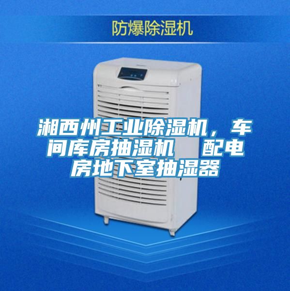 湘西州工業(yè)除濕機，車間庫房抽濕機  配電房地下室抽濕器
