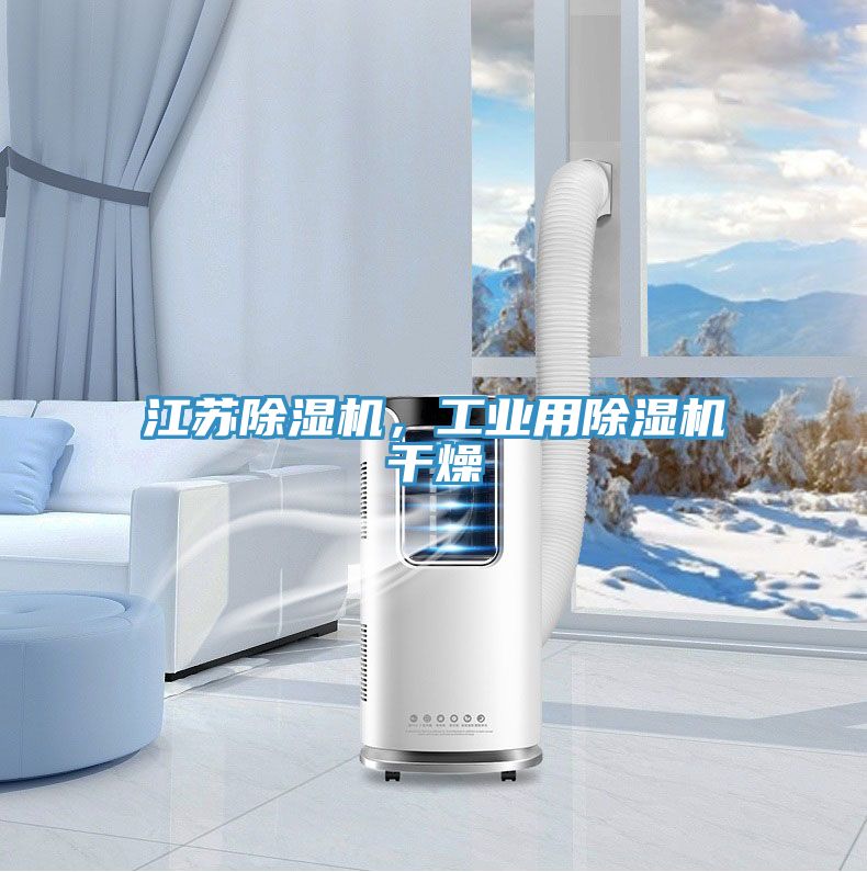 江蘇除濕機，工業(yè)用除濕機干燥