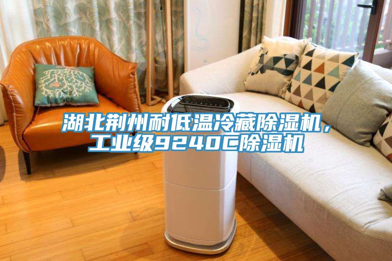湖北荊州耐低溫冷藏除濕機，工業(yè)級9240C除濕機