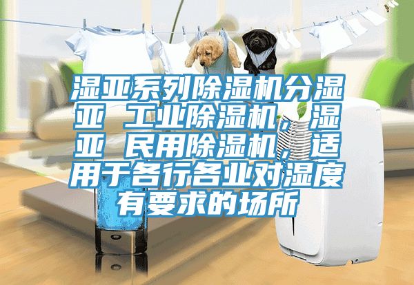 濕亞系列除濕機分濕亞 工業(yè)除濕機，濕亞 民用除濕機，適用于各行各業(yè)對濕度有要求的場所