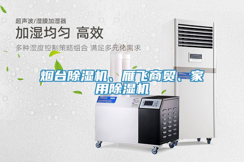 煙臺除濕機、雁飛商貿(mào)、家用除濕機