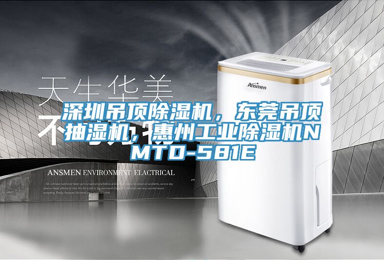 深圳吊頂除濕機，東莞吊頂抽濕機，惠州工業(yè)除濕機NMTD-581E