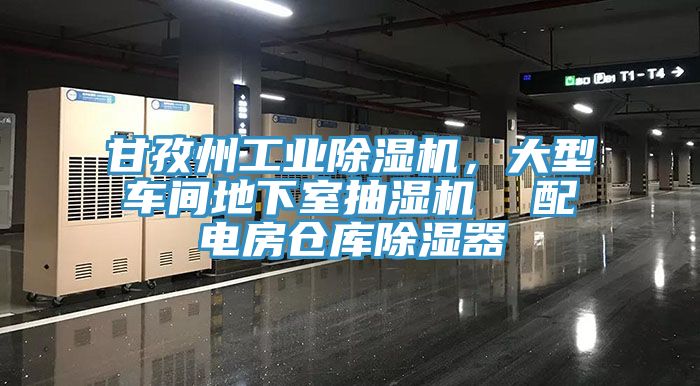 甘孜州工業(yè)除濕機(jī)，大型車間地下室抽濕機(jī)  配電房倉(cāng)庫(kù)除濕器