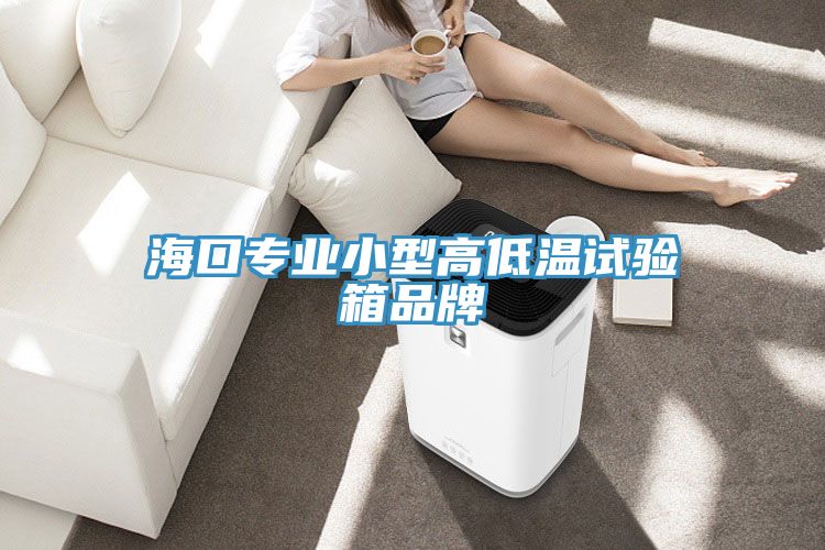 ?？趯I(yè)小型高低溫試驗箱品牌
