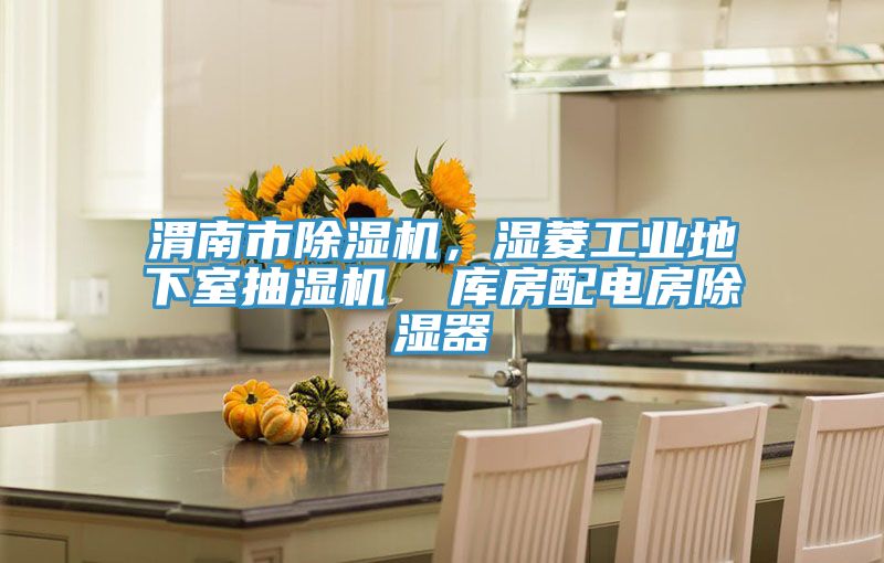 渭南市除濕機，濕菱工業(yè)地下室抽濕機  庫房配電房除濕器