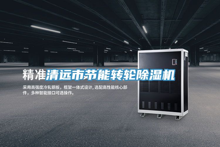 清遠市節(jié)能轉輪除濕機