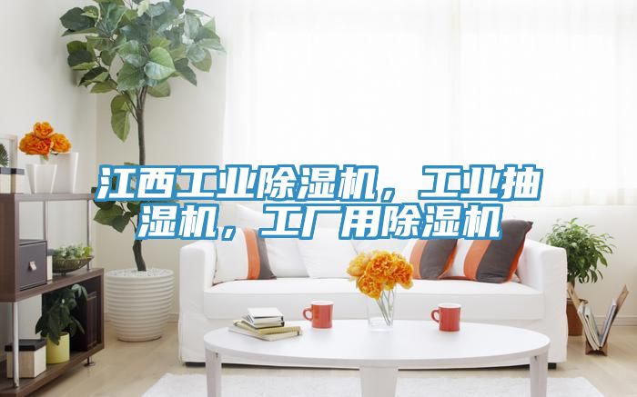 江西工業(yè)除濕機(jī)，工業(yè)抽濕機(jī)，工廠用除濕機(jī)