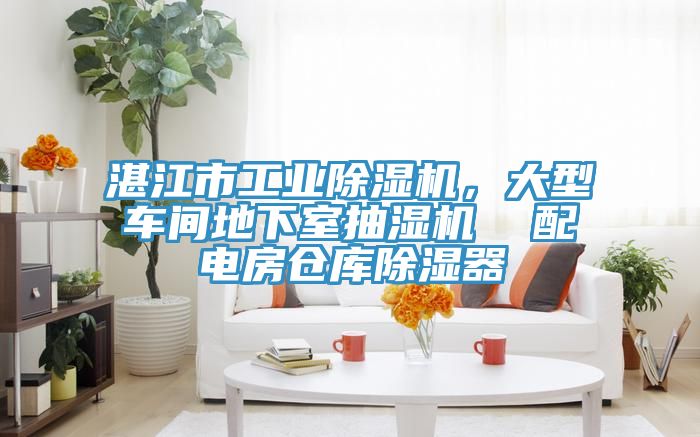 湛江市工業(yè)除濕機，大型車間地下室抽濕機  配電房倉庫除濕器