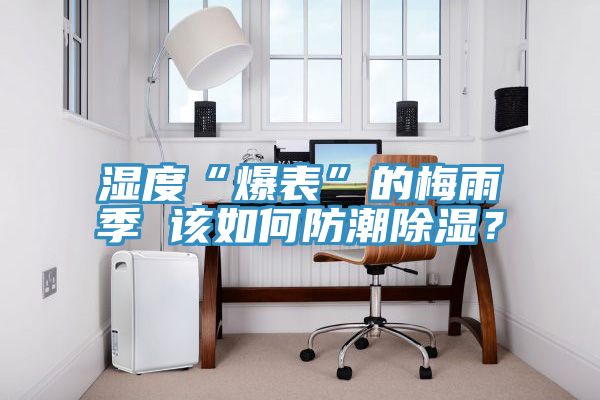 濕度“爆表”的梅雨季 該如何防潮除濕？